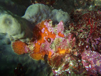 �x�j�J�G���A���R�E