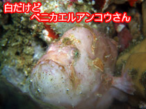 �x�j�J�G���A���R�E