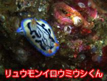 �����E�����C���E�~�E�V