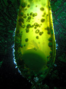 �i�k�J�U����