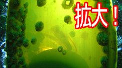 �i�k�J�U�����g��