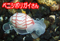 �x�j�V�{���K�C