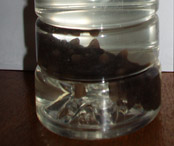 ���������I�I