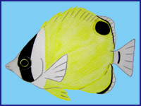 �`���E�`���E�E�I�c��(�G)