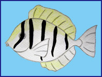 �V�}�n�M�c��(�G)