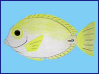 �j�Z�J�������n�M�c��(�G)