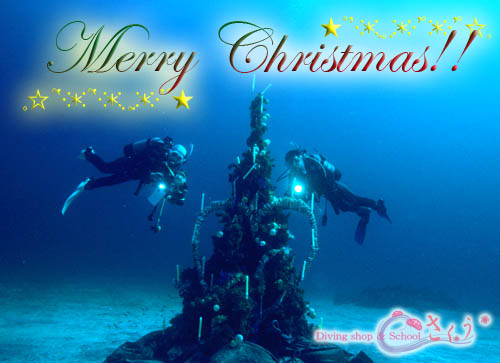 �����x���Q