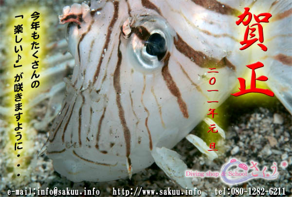 �����܂��Ă��߂łƂ��������܂�