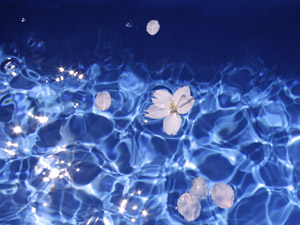 �݂�Ȃ̏Ί炪�炫�܂��悤�Ɂc