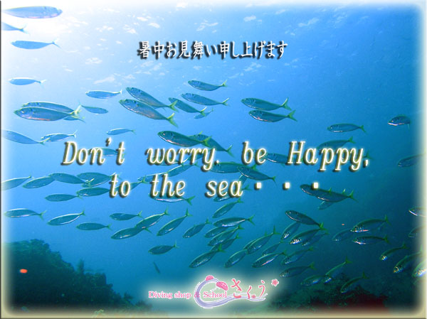 �������������\���グ�܂�