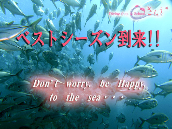 �x�X�g�V�[�Y�������I�I