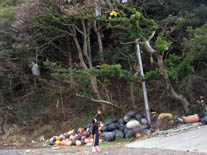 ��̉��F���̂��u�C�ł�