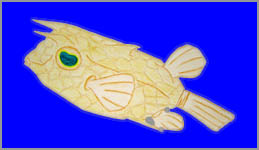 �E�~�X�Y���i�G�j