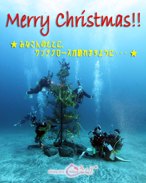 �l���������@�b�������������������c