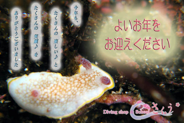 ���N���A���肪�Ƃ��������܂����I�I