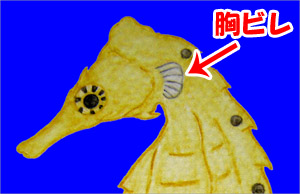 �^�c�N�̋��r���I�I