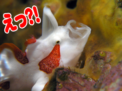 �����H�I