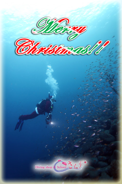 �l���������@�b�������������������c