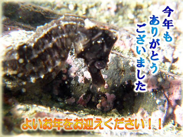 ���N�����肪�Ƃ��������܂����I�I