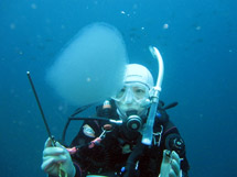 �X�|���W�݂����ȒP�זE�����Q