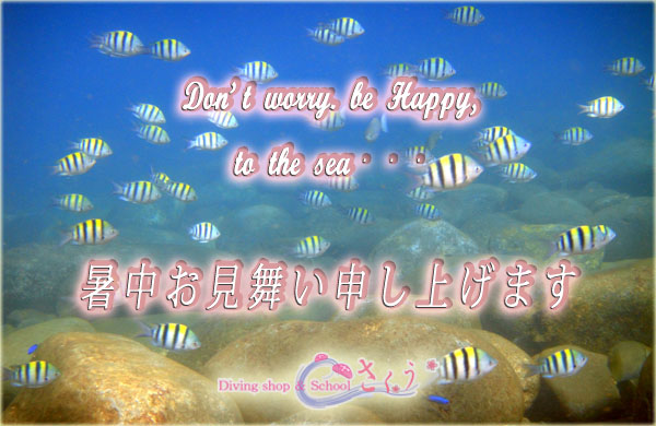 �������������\���グ�܂��I�I