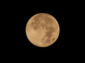 ���H�̖���