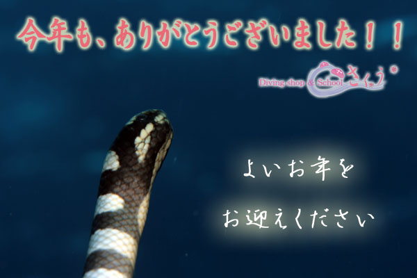 ���N���A���肪�Ƃ��������܂���!!