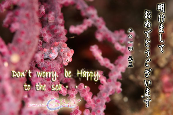 ���N���A��낵�����肢���܂��I�I