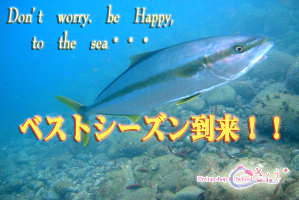 �x�X�g�V�[�Y�������I�I