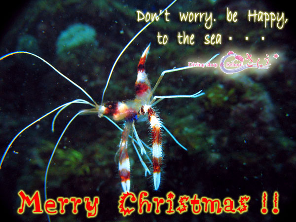 �����[���N���X�}�X�I�I