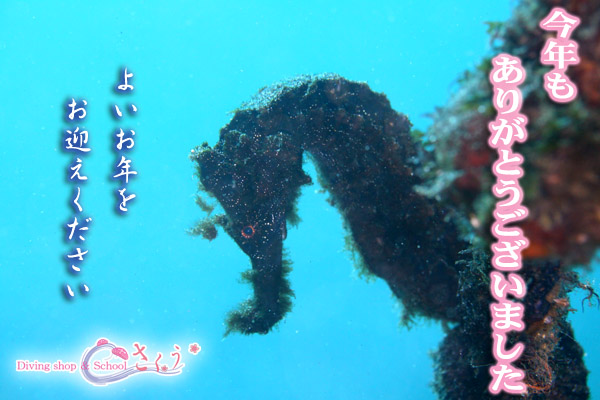 ���N�����肪�Ƃ��������܂����I�I